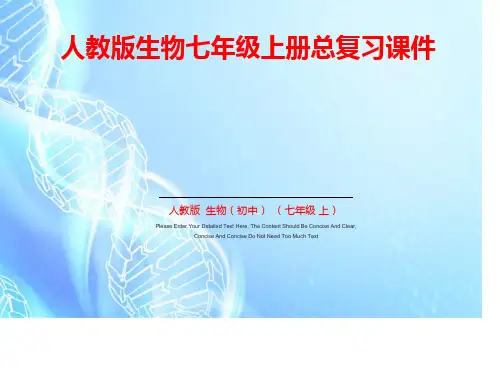 人教版七年级上册-2023年中考生物复习分册梳理课件(人教版)