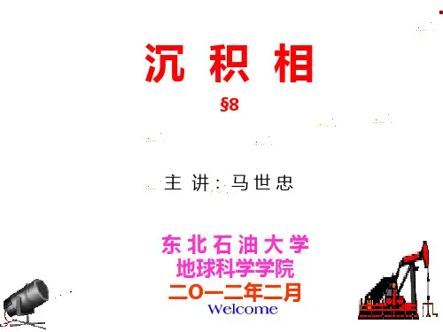 第八章    重力流沉积及沉积相