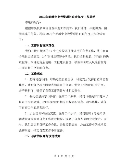 2024年新增中央投资项目自查年度工作总结
