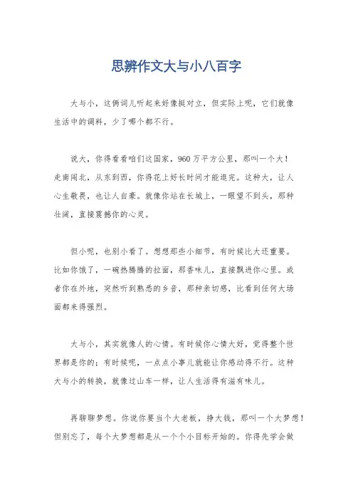 思辨作文大与小八百字