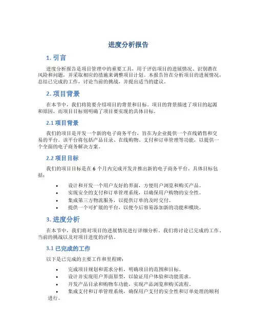 进度分析报告
