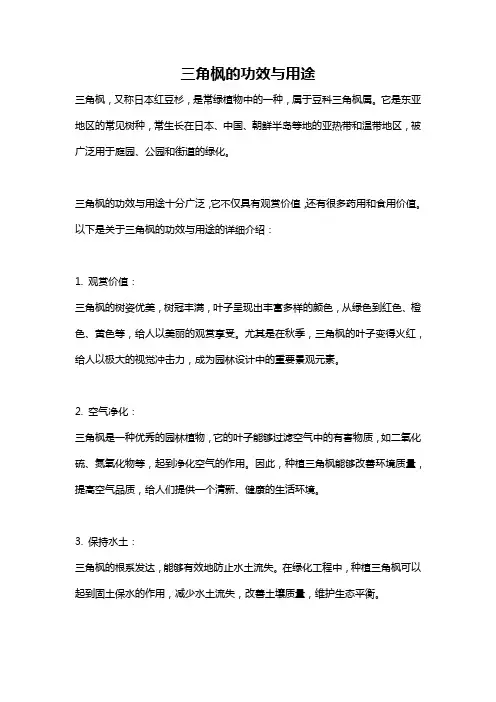 三角枫的功效与用途