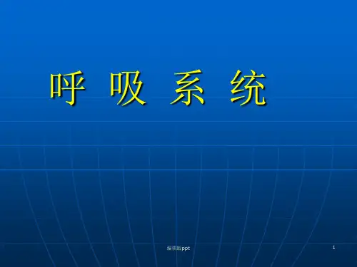 呼吸系统PPT课件