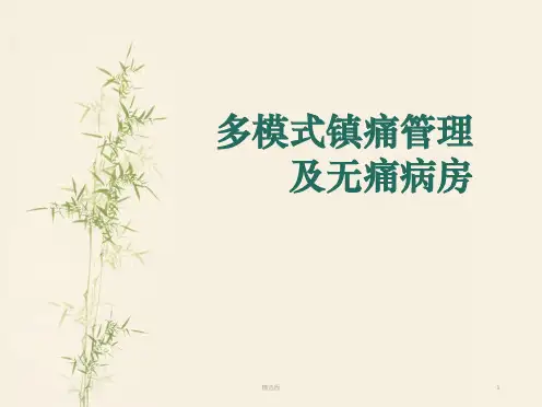多模式镇痛管理及无痛病房课件ppt课件