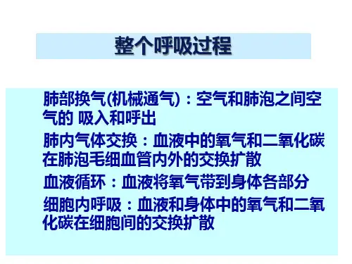 呼吸机的基本原理及临床应用医学课件