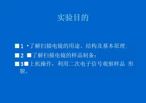扫描电镜的结构及典型试样形貌观察