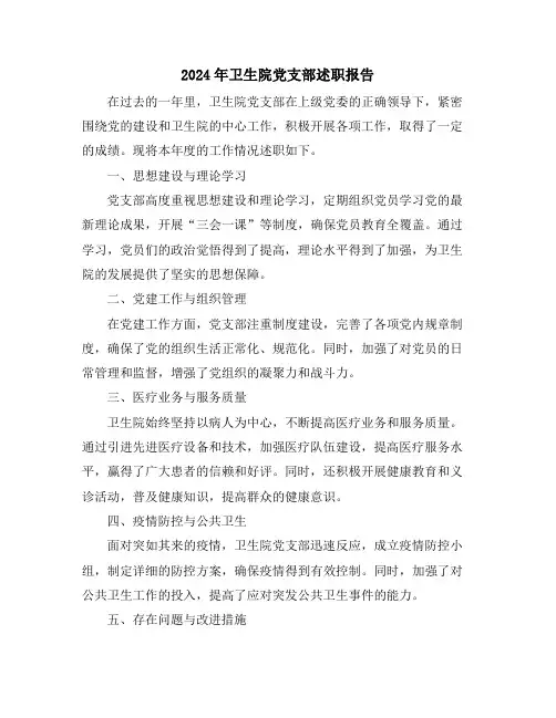2024年卫生院党支部述职报告
