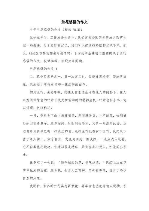 兰花感悟的作文