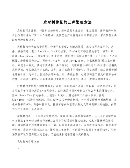 发财树常见的三种繁殖方法