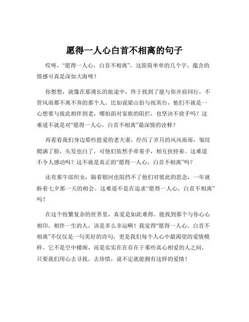 愿得一人心白首不相离的句子