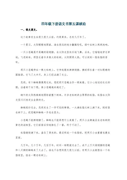 四年级下册语文书第五课琥珀