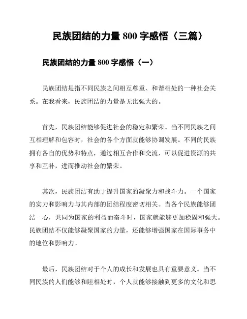 民族团结的力量800字感悟(三篇)