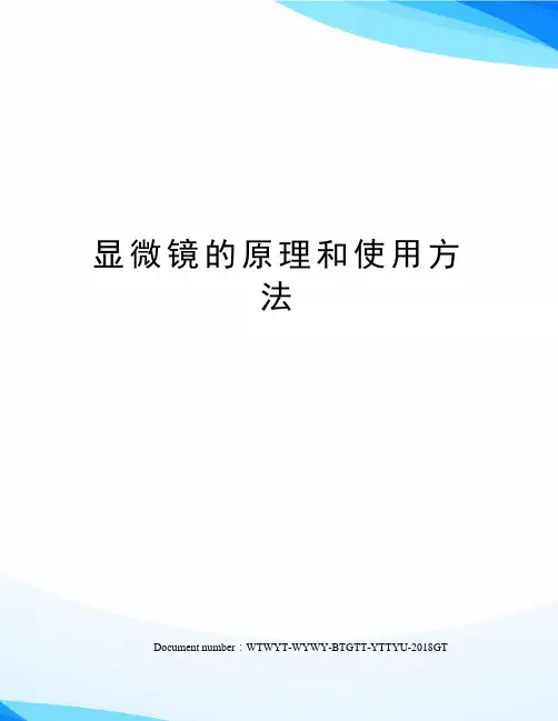 显微镜的原理和使用方法