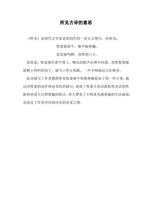 所见古诗的意思