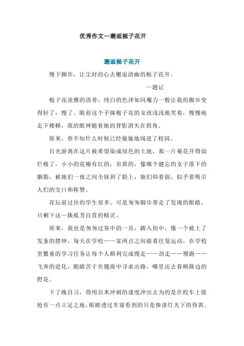 优秀作文—邂逅栀子花