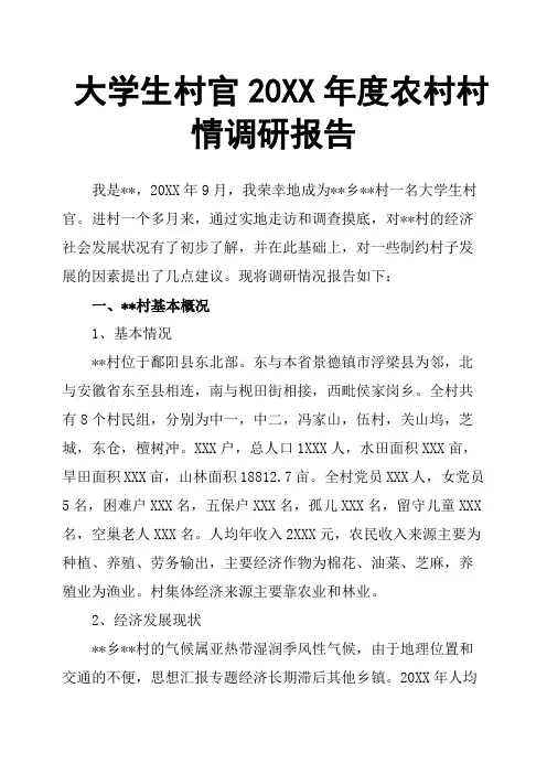 大学生村官20XX年度农村村情调研报告
