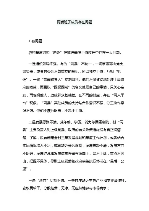 两委班子成员存在问题