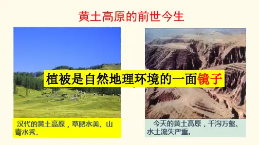 植被对自然地理环境的影响(共16张PPT)