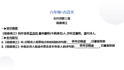 六年级语文复习—— 古诗文