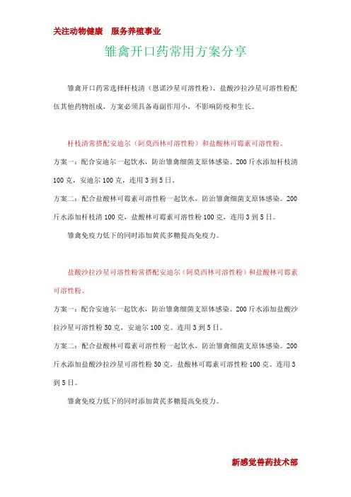雏禽开口药常用方案分享