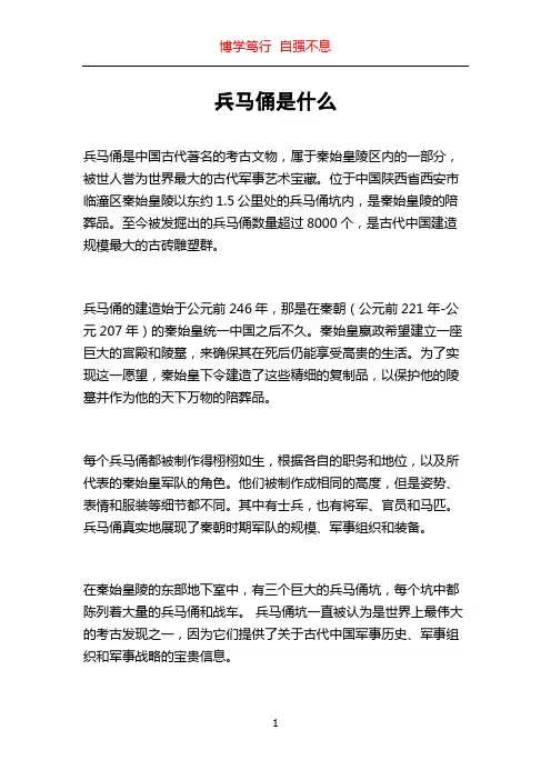 兵马俑是什么