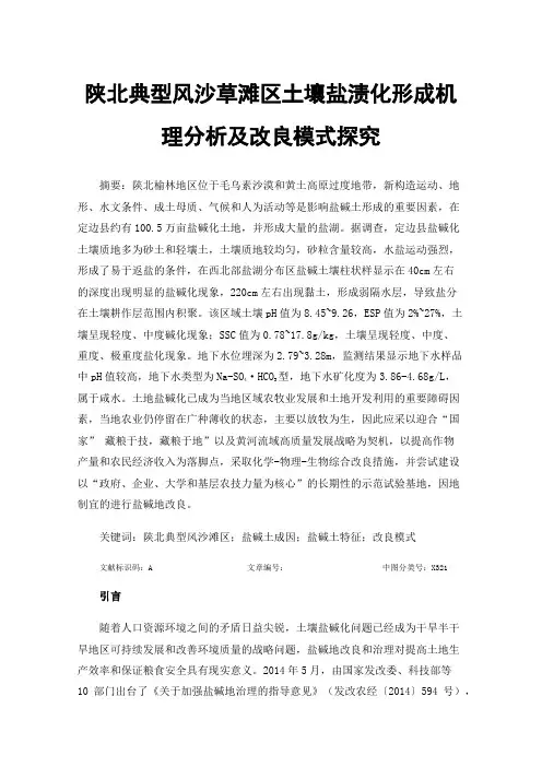 陕北典型风沙草滩区土壤盐渍化形成机理分析及改良模式探究