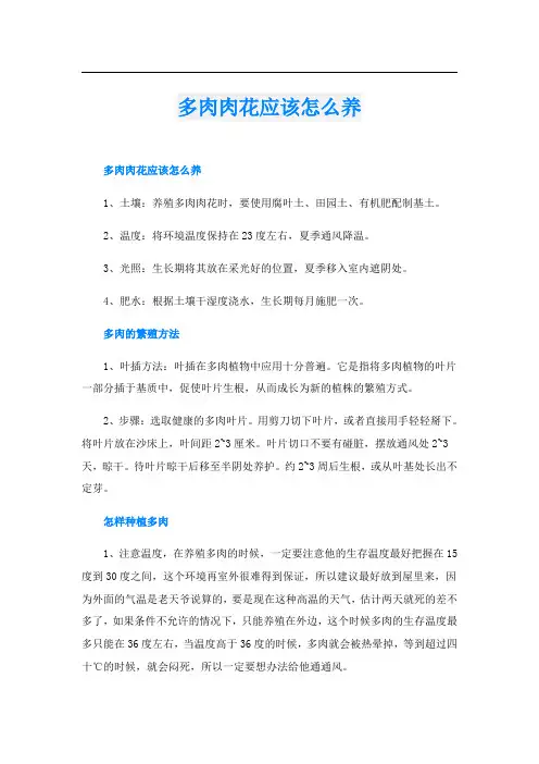 多肉肉花应该怎么养