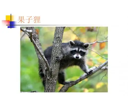 食物中毒及其预防PPT课件