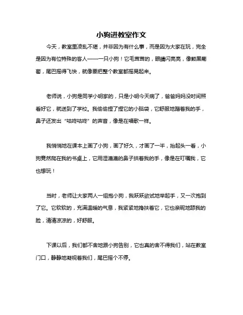 小狗进教室作文