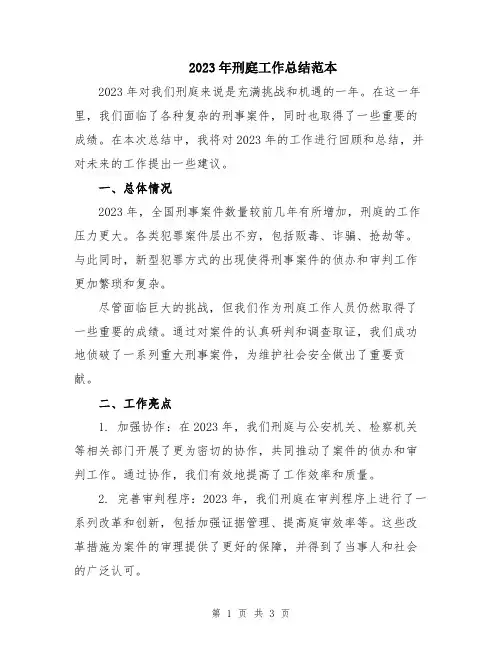 2023年刑庭工作总结范本