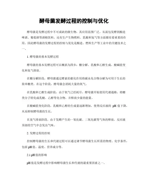 酵母菌发酵过程的控制与优化