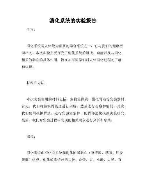 消化系统的实验报告