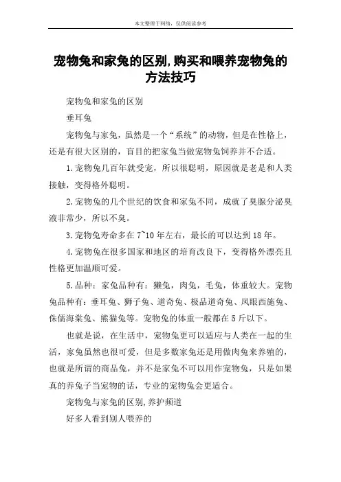 宠物兔和家兔的区别,购买和喂养宠物兔的方法技巧