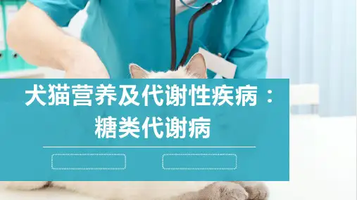 犬猫营养及代谢性疾病(糖类代谢病)-宠物医生课件