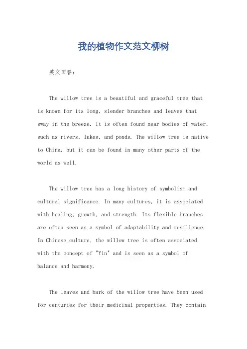 我的植物作文范文柳树