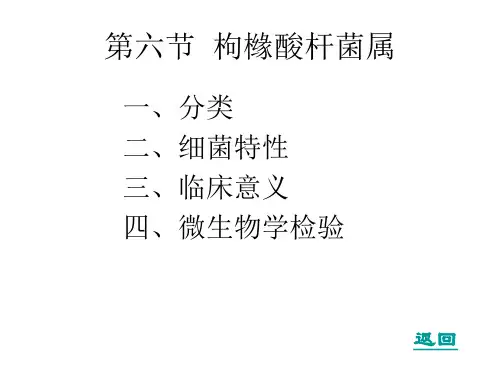 第六节枸橼酸杆菌属