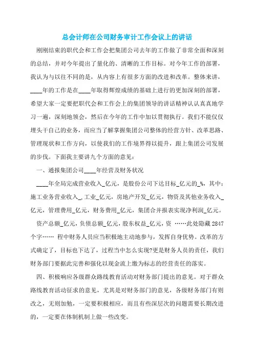 总会计师在公司财务审计工作会议上的讲话