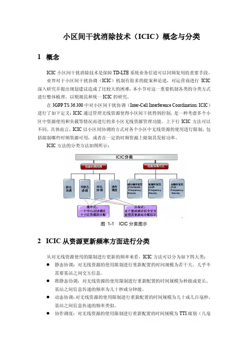 ICIC概念与分类