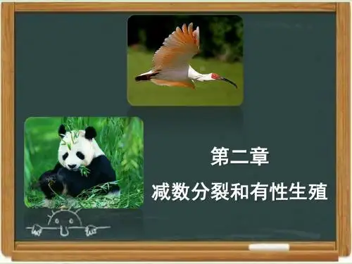苏教版高中生物必修二《减数分裂和有性生殖》章末复习课件-新版