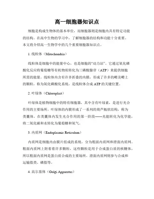 高一细胞器知识点