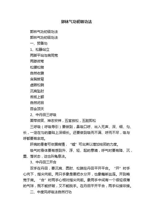 郭林气功初级功法