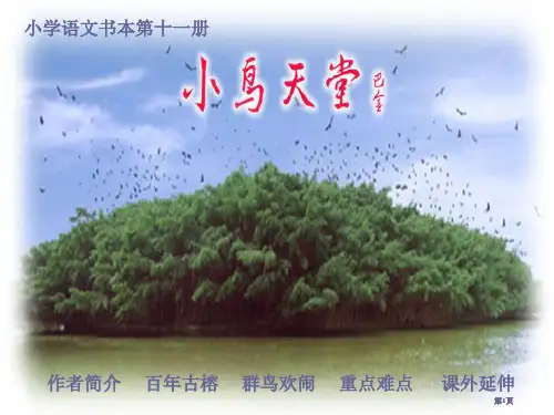 人教版小学六年级语文小鸟的天堂公开课一等奖优质课大赛微课获奖课件