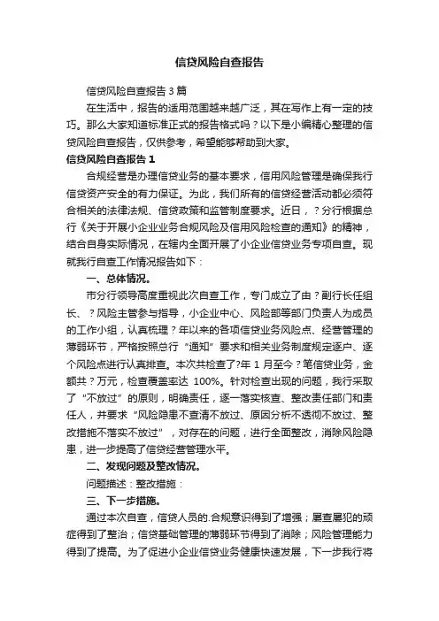 信贷风险自查报告
