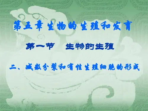 减数分裂全 公开课一等奖课件PPT