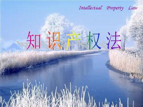 知识产权法学(著作权)课件