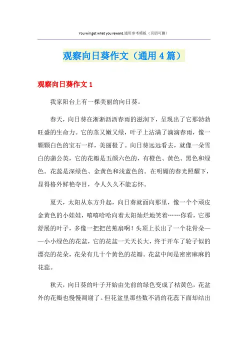 观察向日葵作文(通用4篇)