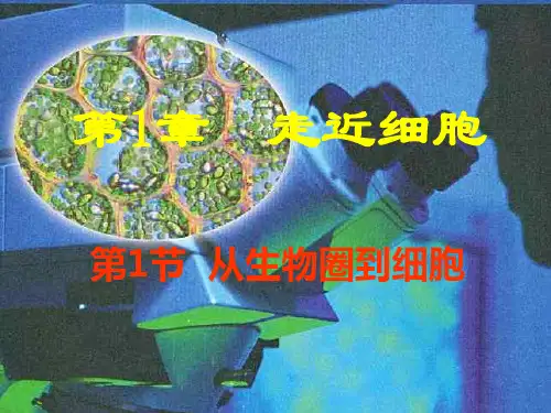 【全国百强校】长郡中学人教版高中生物必修一课件-从生物圈到细胞-ppt精品课件