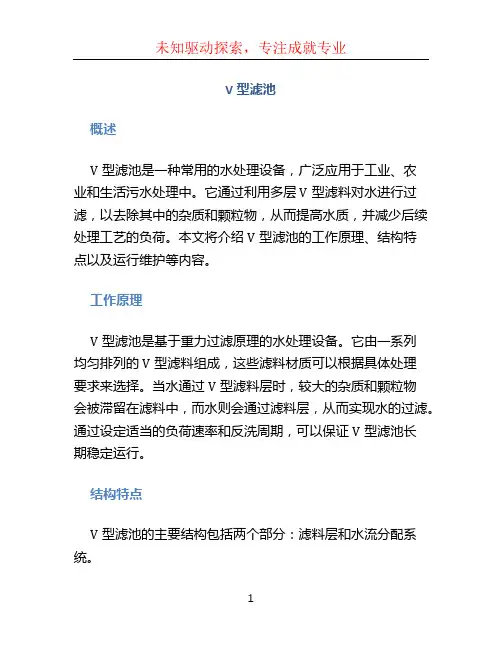 V型滤池文档