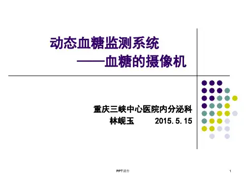 动态血糖监测(新)  ppt课件