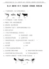 浙教版七年级科学上册  第二章 观察生物  第4节 常见的动物  无脊椎动物  同步练习题 含答案